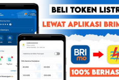 Dengan BRImo, Ibu Rumah Tangga Tak Perlu Repot Lagi Beli Token Listrik