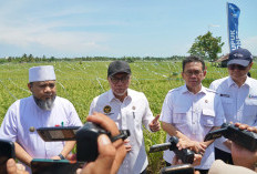 Kunker Menko Pangan Zulkifli Hasan ke Bengkulu 'Jangan Cintai Petani Asing'