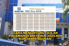 Simulasi Cicilan Pinjaman Non KUR BRI Akhir Tahun 2025      