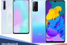 Banyak Pilihannya, Ini Daftar 10 HP Honor Harga Rp 3 Jutaan April 2026