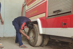 Respon Bupati Terkait Mobil Pemadam Kebakaran di Kabupaten Seluma