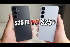 Duel Sengit 2 HP Canggih, Ini Perbandingan Samsung Galaxy S25 FE vs Samsung Galaxy S25+