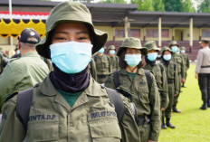 Ingin Daftar CPNS Polhut 2026? Ini Daftar Berkas yang Harus Disiapkan 