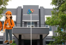 Dinyatakan Lolos Mitra Statistik BPS 2026, Ini Tugas Mitra Pendataan dan Mitra Pengolahan