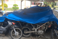 Lelang 58 Kendaraan Dinas Pemkab Mukomuko Masih Dibuka, Batas Penawaran 13 Januari 