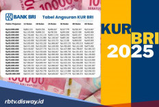 Jangan Lupakan Hal Berikut Sebelum Ajukan Pinjaman KUR BRI, Syarat Utama untuk Disetujui