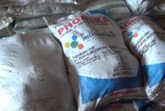 Mekanisme Penyaluran Pupuk Bersubsidi di Bengkulu Utara Tahun 2026 