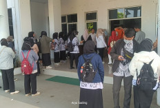 Pemkab Seluma Surati KemenPAN-RB untuk Nonaktifkan Data Peserta Pasca Seleksi PPPK Tahap II Dibatalkan,