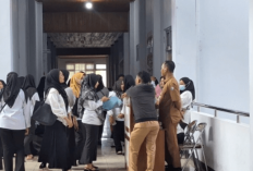 902 Tenaga Honorer di Mukomuko Kehilangan Prioritas