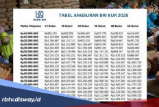 Pemicu Pengajuan KUR BRI Melejit di Akhir Tahun 2025