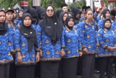 Peluang PPPK Paruh Waktu Jadi Penuh Waktu, BKPSDM Bengkulu Utara Bilang Begini