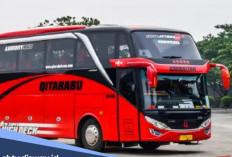 Mudik Asik Bareng Bus Qitarabu, Ini Daftar Rute, Jadwal Keberangkatan dan Harga Tiketnya
