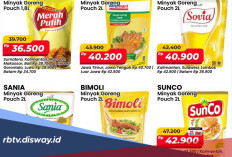 Tebus Minyak Goreng Murah di Alfamart, Cek Promo Hari Ini 