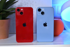 iPhone 13 vs iPhone 14 Plus, Perbandingan 2 HP yang Menarik dan Banyak Diminati 