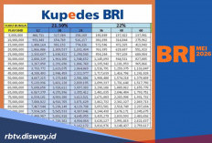 Dokumen Lengkap Kupedes BRI Mei 2026 Plafon Rp 30 Juta, Cek Sebelum Ajukan Pinjaman