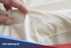 4 Cara Mudah Menghilangkan Jamur di Baju Terbukti Ampuh