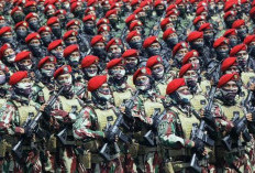 Bengkulu Jadi Markas Latihan Batalyon 13 Pasukan Baret Merah