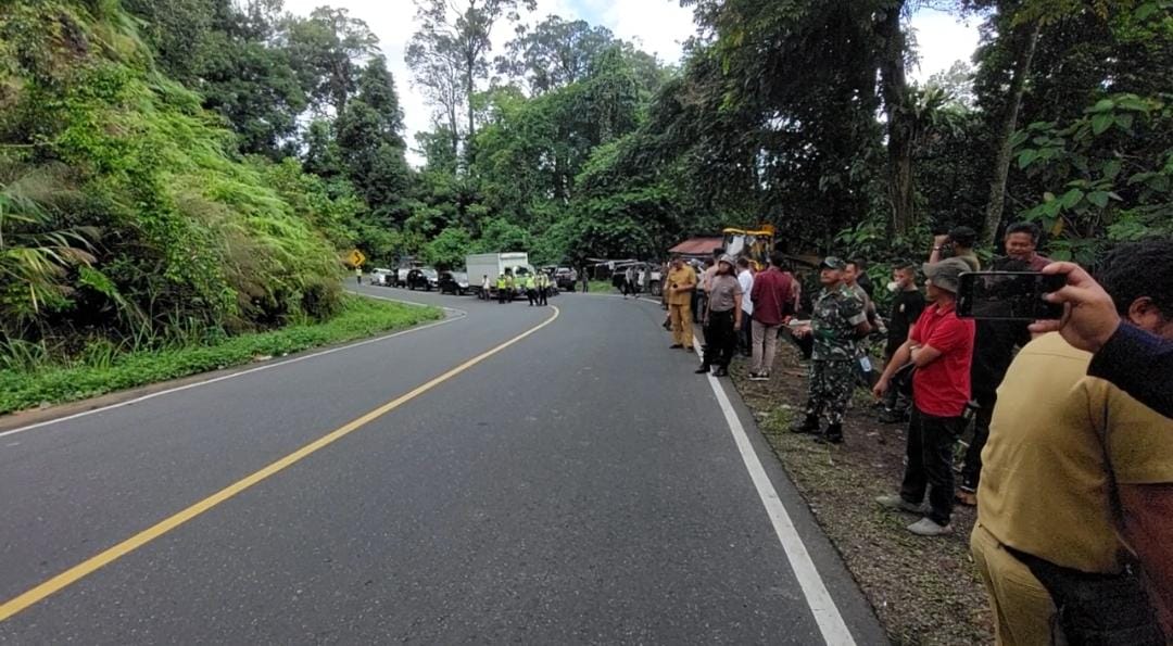 Penebangan Sasar Pohon Rawan Tumbang