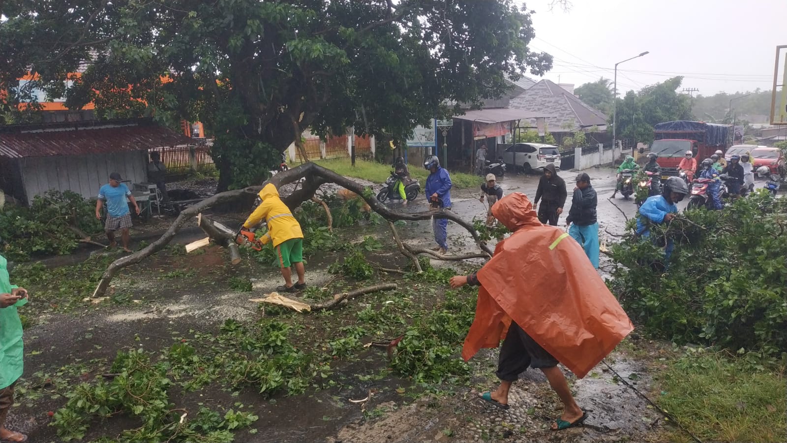 Hujan Disertai Badai, Pohon di Sukamerindu Tumbang