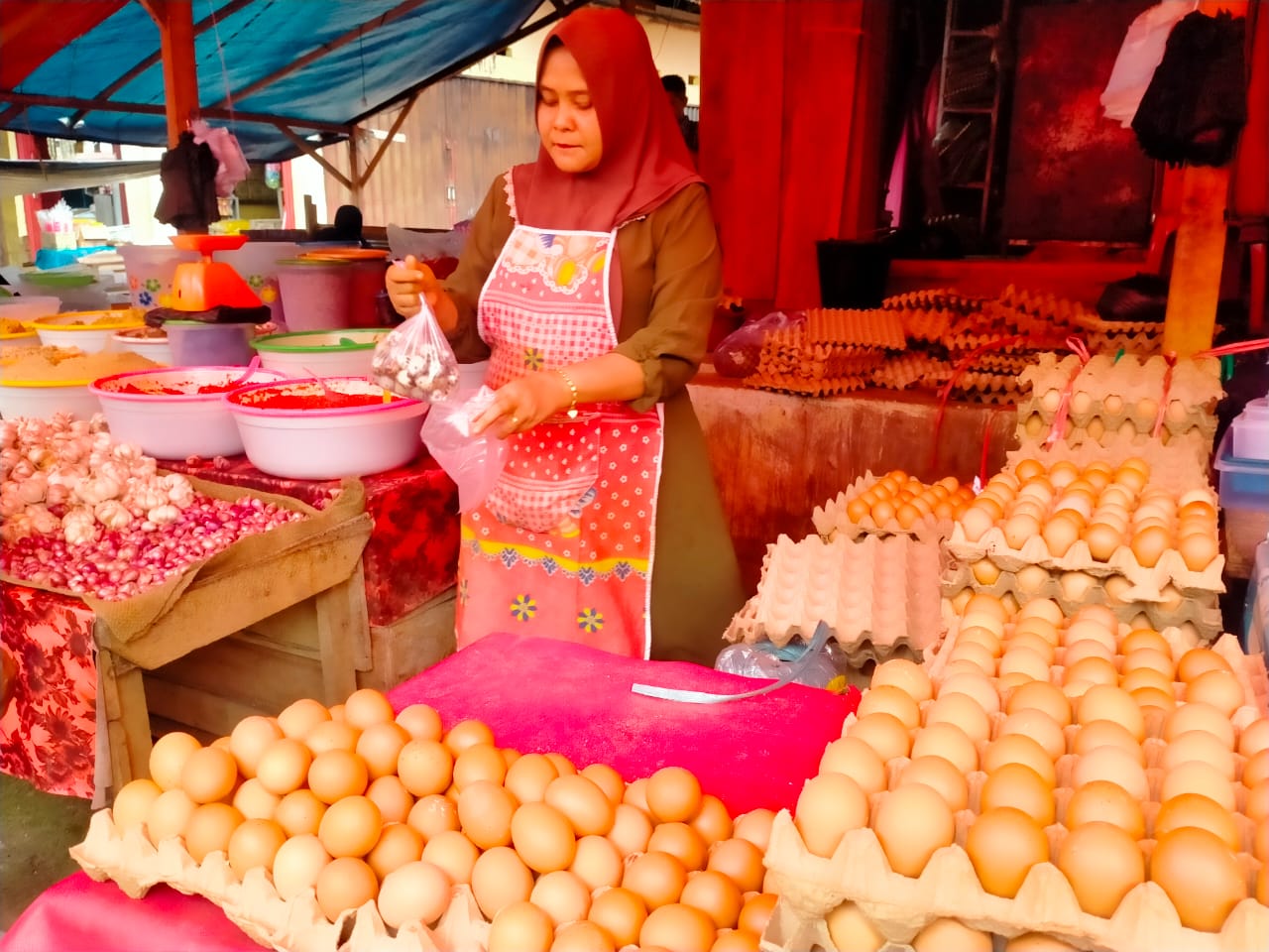 Harga Telur di Bengkulu Utara Terus Naik