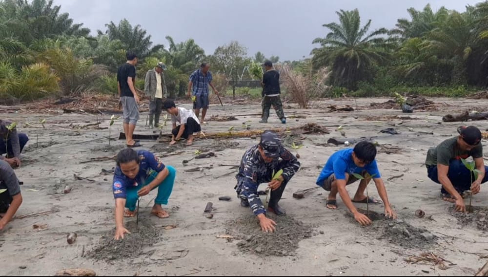 Abrasi Laut, TNI AL dan Warga Pasar Seluma Tanam Ratusan Batang Mangrove