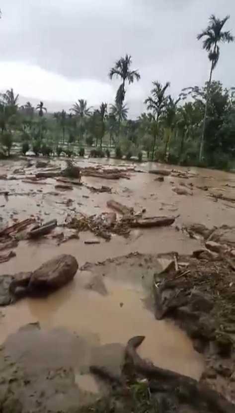 Persawahan di Tabeak Kauk Diterjang Banjir